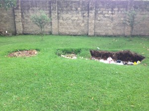 The Holes in the Yard