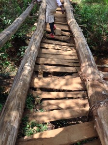 Indiana Jones Bridge