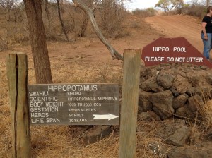 Hippo Fun Facts Plus the "Do Not Litter" Sign