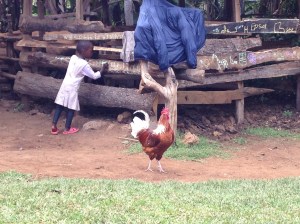 Chalking it Up (Photo by Sue)