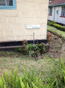 One of the Drinking Water Sites at Hospital.