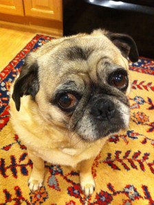 Riley Elliott...Guilty of Cuteness.