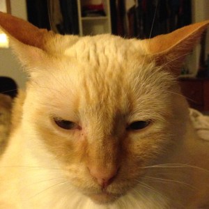 Nieve-Sol thinking, "You said WHAT?"