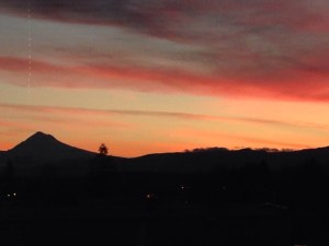 View  From My Office of Sunrise and Mt. Hood
